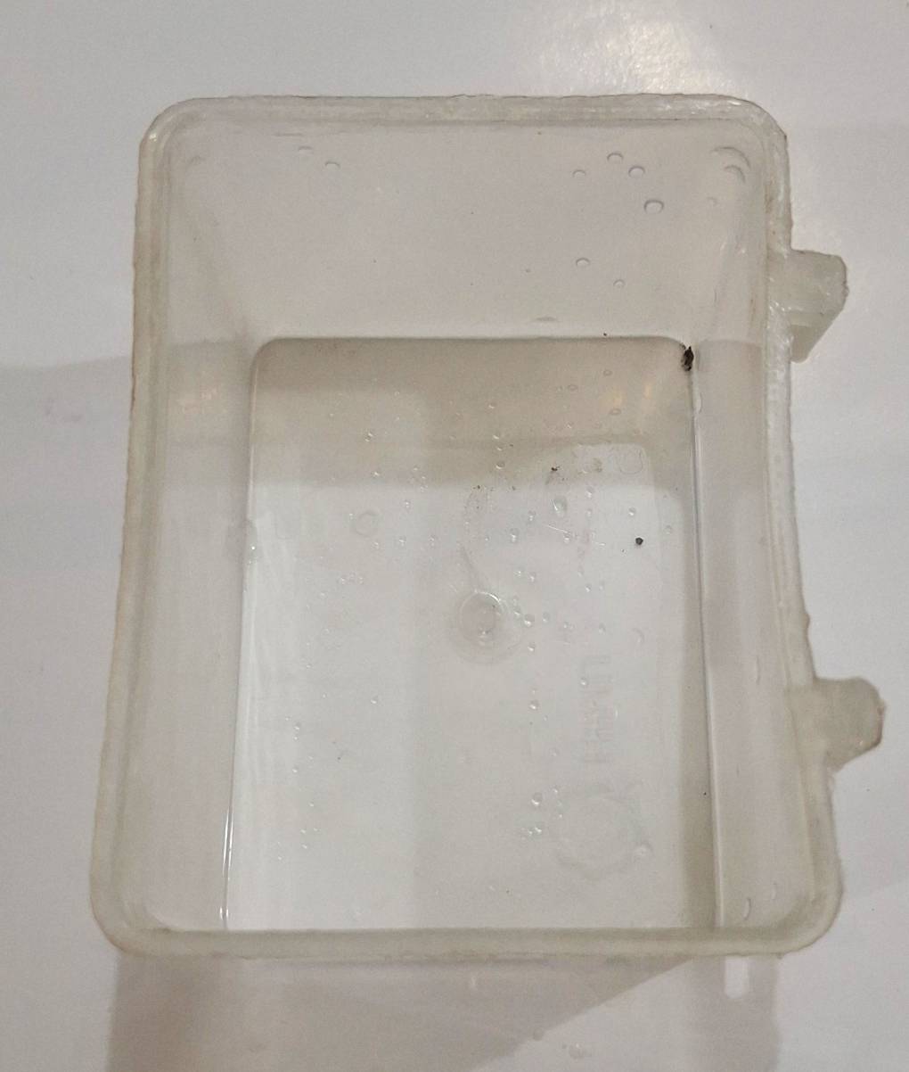 Food pot for Birds-Locally Plastic Made, Rectangle Shape, Small Size: L 3.5 Inch, W 3 Inch, H 2 Inch-Transparent Color-05