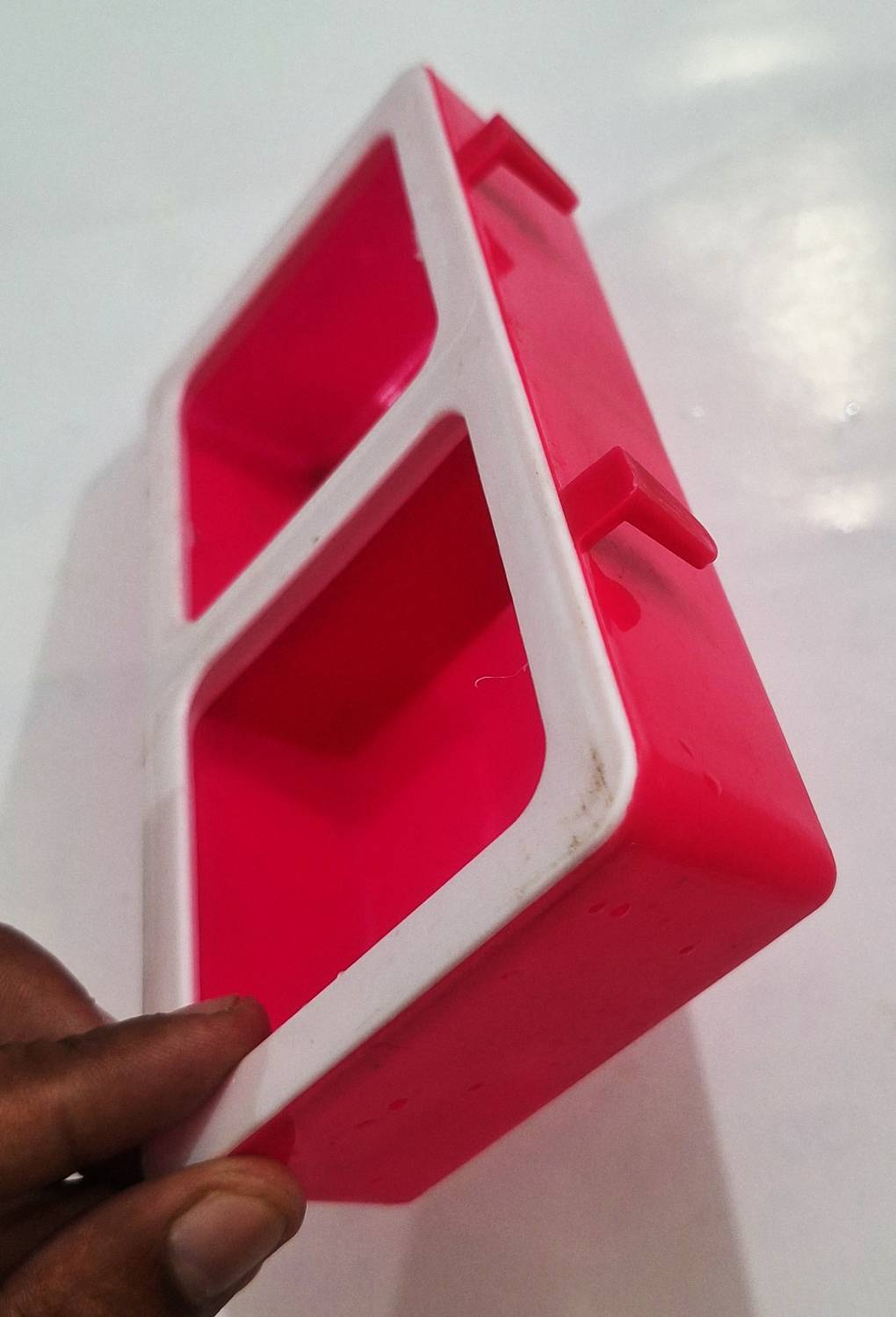 Food pot for Birds-Locally Plastic Made, Rectangle Shape, Large Size: L 6 Inch, W 4 Inch, H 2.5 Inch-Multi Color, 2 pcs