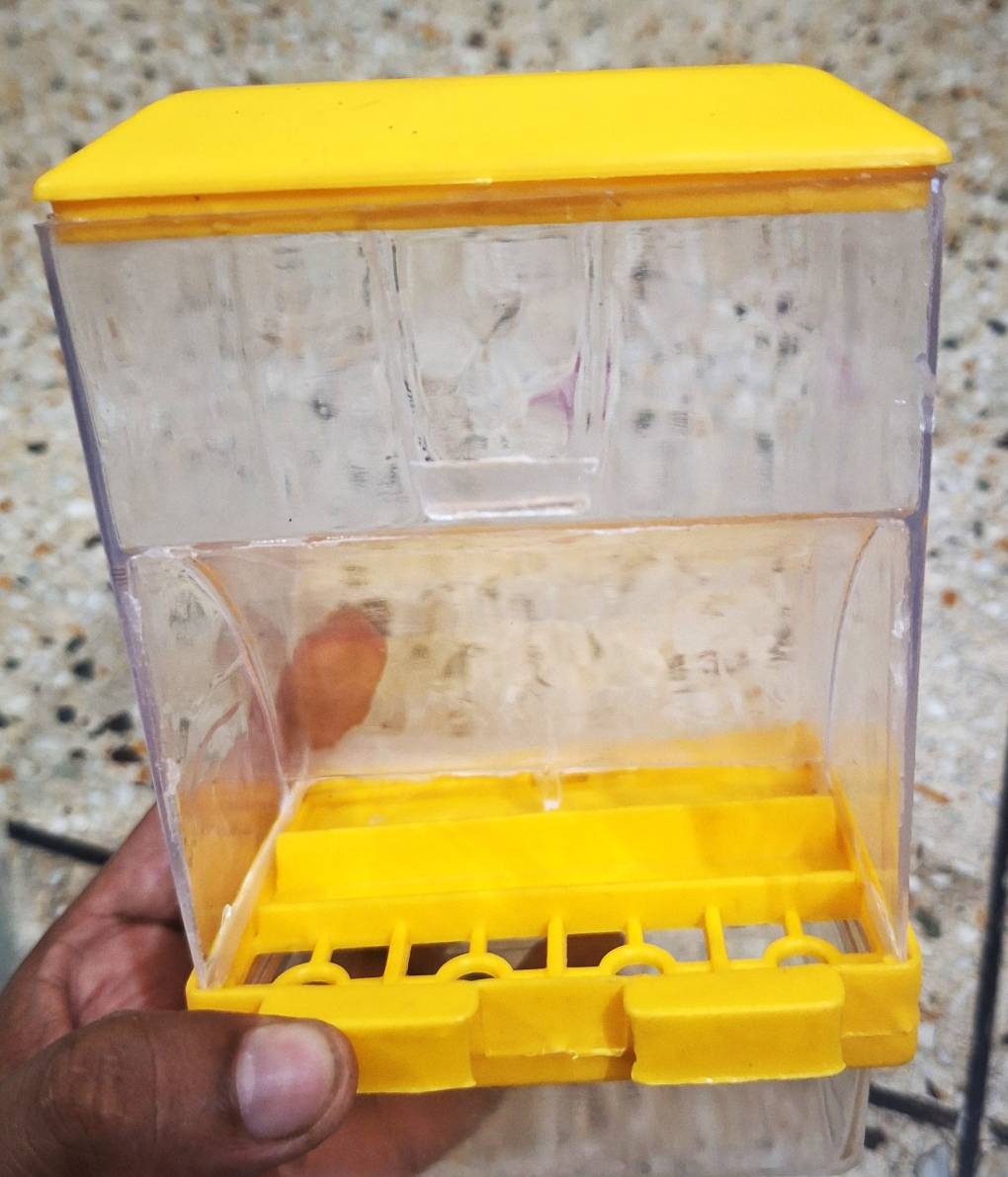 Seeds Hopper for Birds - Locally Made, Rectangle, Size: 4" x 2.5" x 6" with Bottom Tray System