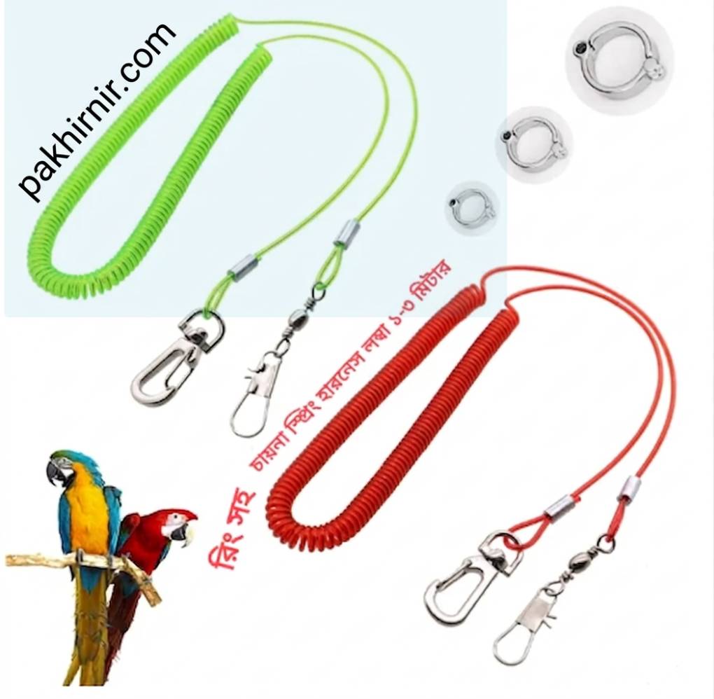China Spring Flying Harness Leash with Ankle Ring for Birds - 01 Set