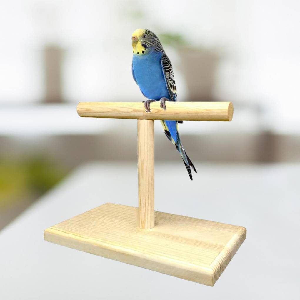 Wooden T-Stand Training Perch for Birds - 01 Pc