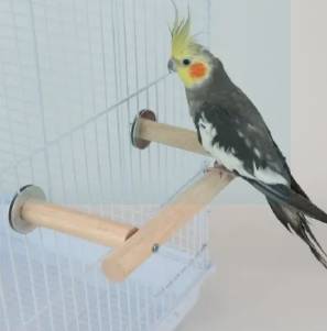 Wooden Cage Perch Stand with Screw Lock Mount for Birds - Size 4" × 7" (01 Pc)