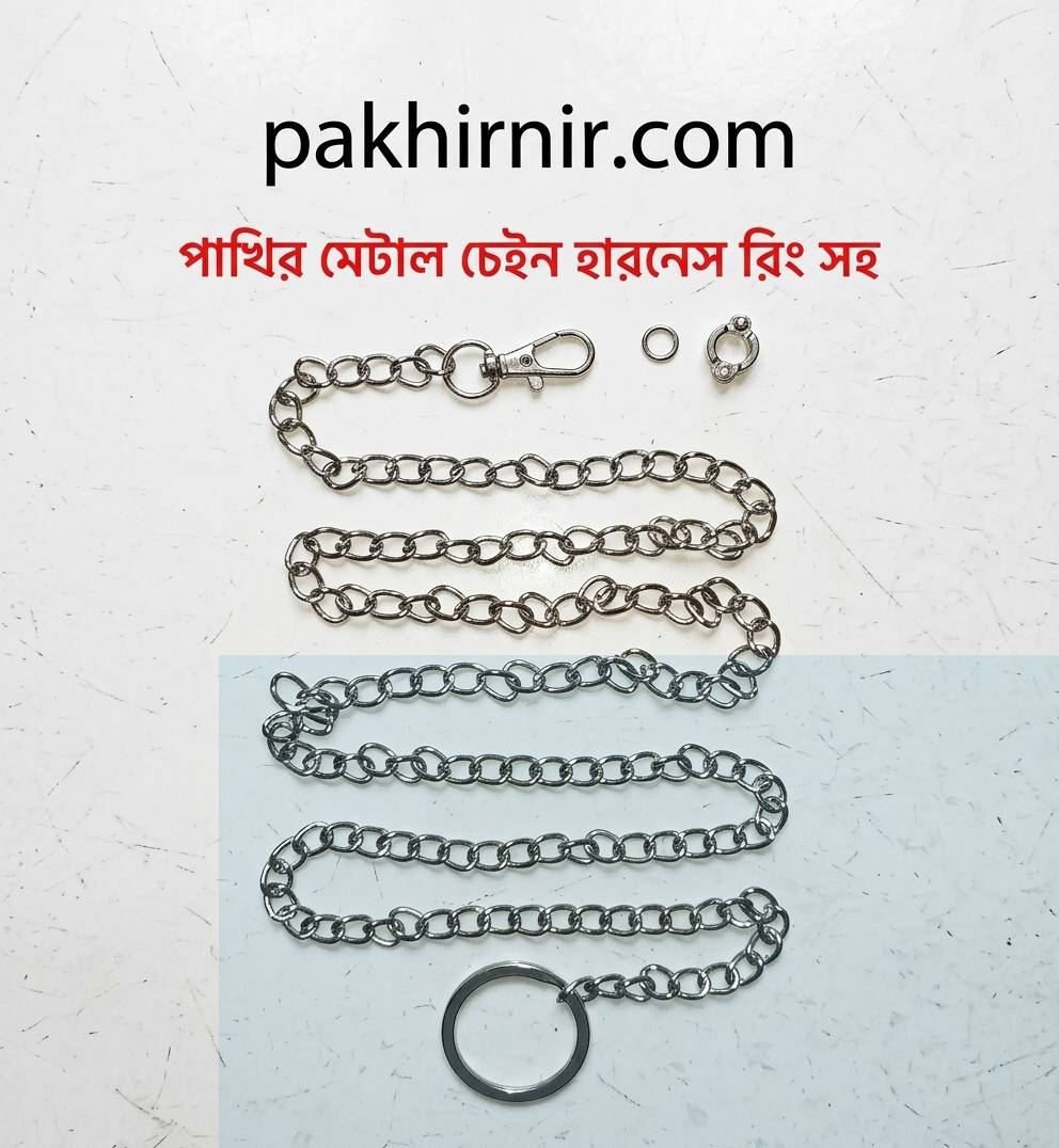 Stainless Steel Metal Chain Harness Leash with Ankle Ring for Birds  (Finch)- 01 Pc