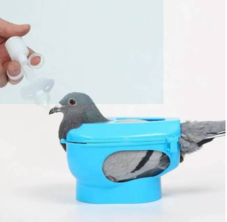 Pigeon Lock Holder For Feeding 1pc Pigeion Holder For All Type Pigeon