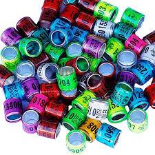 8mm Numbered Pigeon Foot Ring with Year & Tag Number - Multicolor, 10 pcs