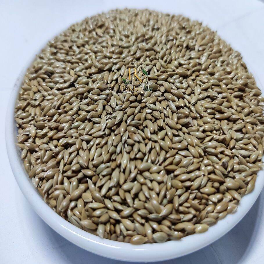Canary Seeds 1 Kg for Birds