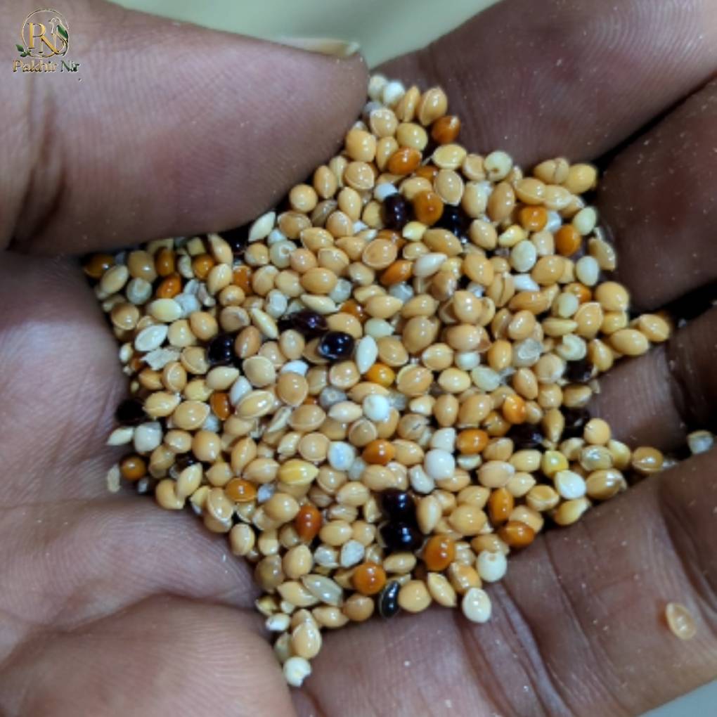 Premium Mixed Millet Seed Feed for Birds & Canaries - 1 Kg Pack