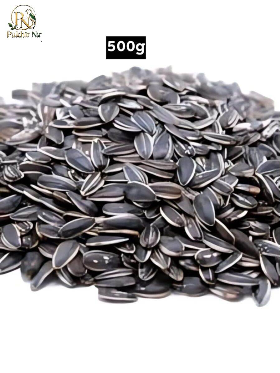 Local Sunflower Seeds Feed for Birds & Parrots - 500gm Pack