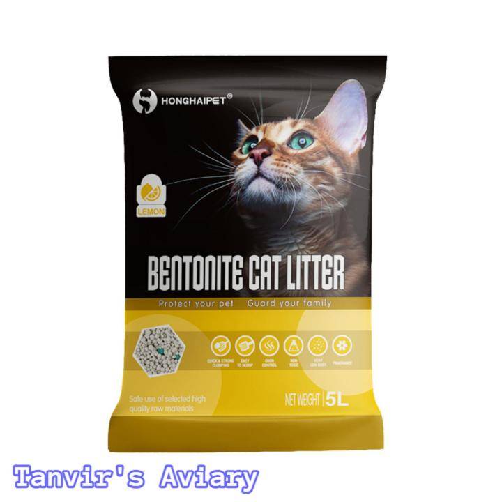 Premium Bentonite Clumping Cat Litter - 1 Kg Pack