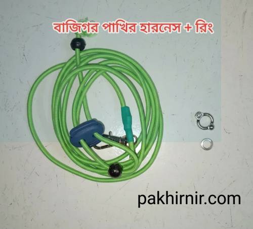 বাজিগার
