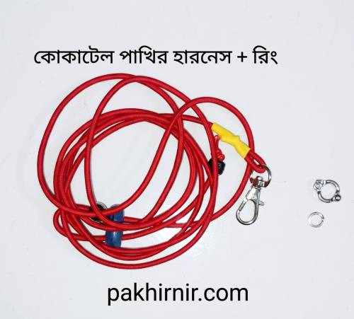 টিয়া