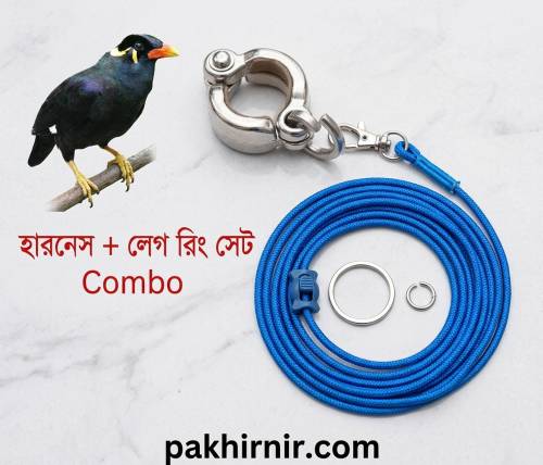 চন্দনা