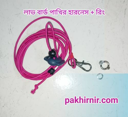 লাভবার্ড