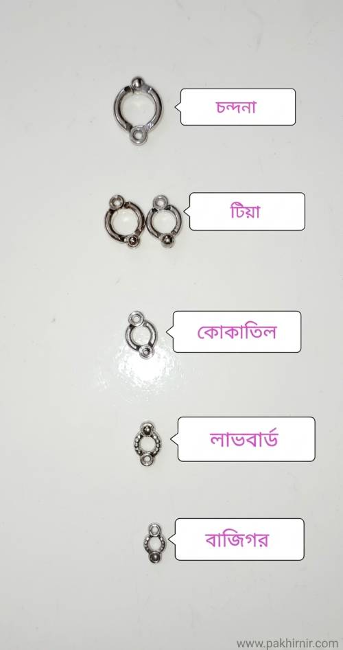 1 pcs Lovebird