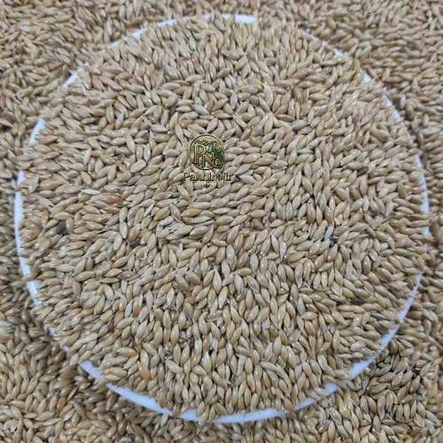 500gm